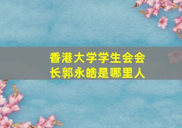 香港大学学生会会长郭永皓是哪里人