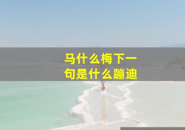 马什么梅下一句是什么蹦迪