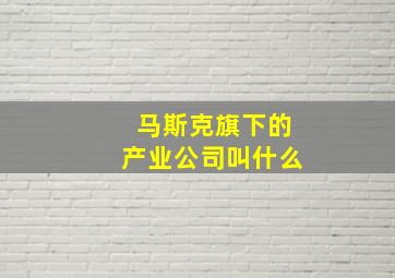 马斯克旗下的产业公司叫什么