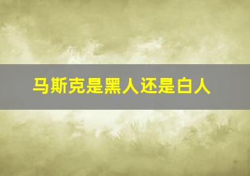 马斯克是黑人还是白人