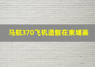 马航370飞机遗骸在柬埔寨