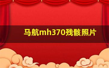 马航mh370残骸照片