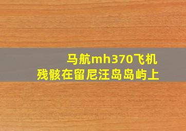 马航mh370飞机残骸在留尼汪岛岛屿上