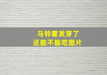 马铃薯发芽了还能不能吃图片