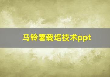 马铃薯栽培技术ppt