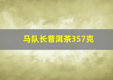 马队长普洱茶357克