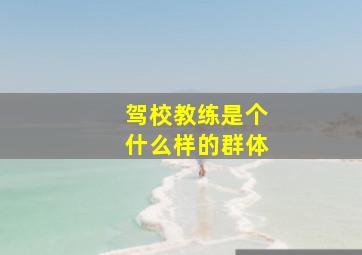 驾校教练是个什么样的群体