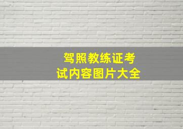 驾照教练证考试内容图片大全