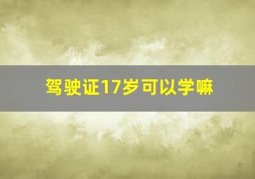 驾驶证17岁可以学嘛