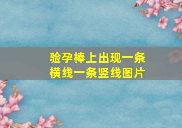 验孕棒上出现一条横线一条竖线图片