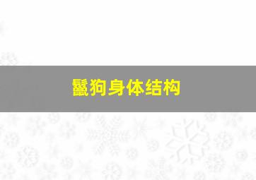 鬣狗身体结构