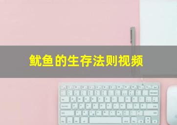 鱿鱼的生存法则视频