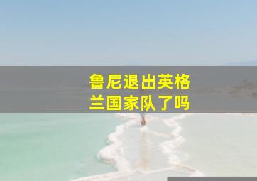 鲁尼退出英格兰国家队了吗