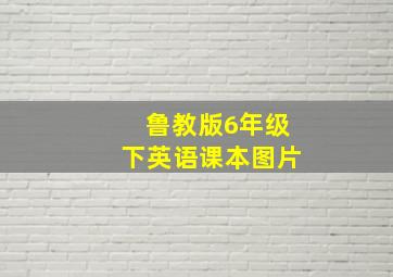 鲁教版6年级下英语课本图片