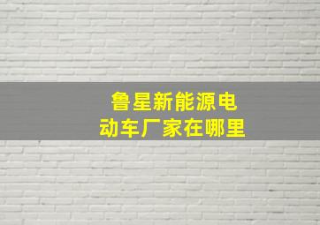 鲁星新能源电动车厂家在哪里