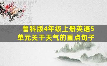 鲁科版4年级上册英语5单元关于天气的重点句子