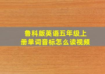 鲁科版英语五年级上册单词音标怎么读视频