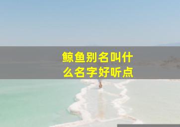 鲸鱼别名叫什么名字好听点