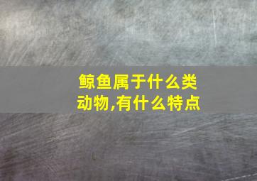 鲸鱼属于什么类动物,有什么特点