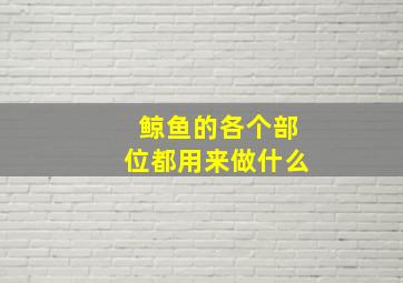 鲸鱼的各个部位都用来做什么