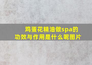 鸡蛋花精油做spa的功效与作用是什么呢图片