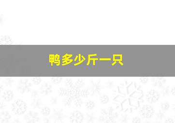 鸭多少斤一只