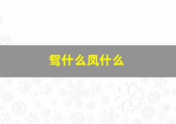 鸳什么凤什么