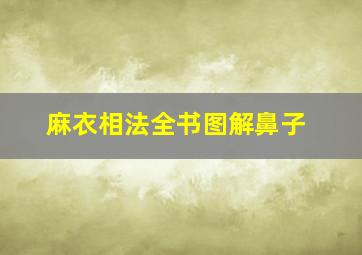 麻衣相法全书图解鼻子