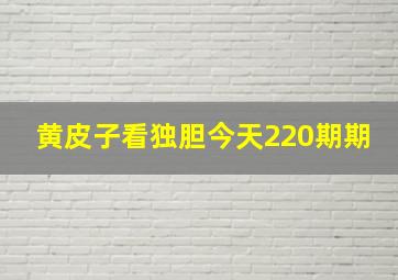 黄皮子看独胆今天220期期