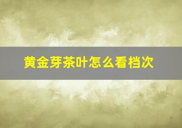 黄金芽茶叶怎么看档次