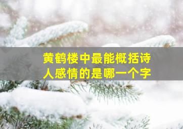 黄鹤楼中最能概括诗人感情的是哪一个字