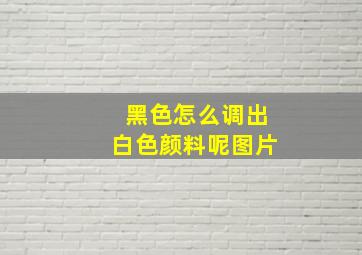 黑色怎么调出白色颜料呢图片