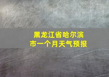 黑龙江省哈尔滨市一个月天气预报