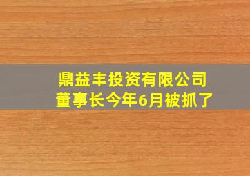 鼎益丰投资有限公司董事长今年6月被抓了