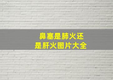 鼻塞是肺火还是肝火图片大全