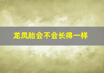 龙凤胎会不会长得一样