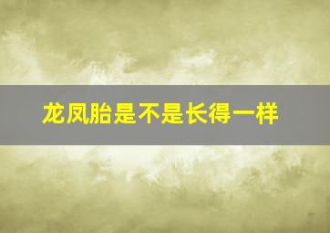 龙凤胎是不是长得一样