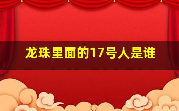 龙珠里面的17号人是谁