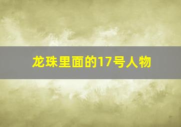 龙珠里面的17号人物